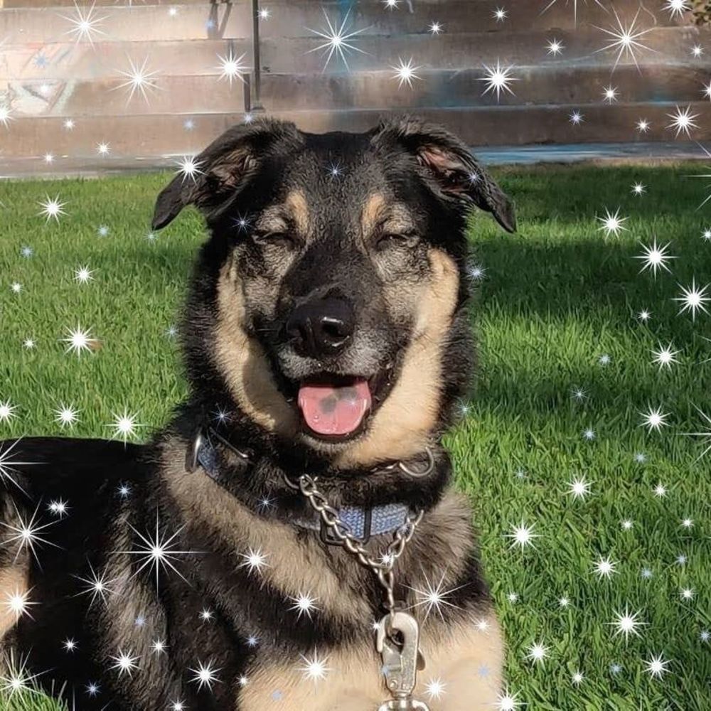 Meet your Posher, Carla